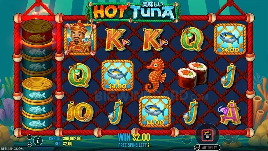 Online Casino Trends 2026
